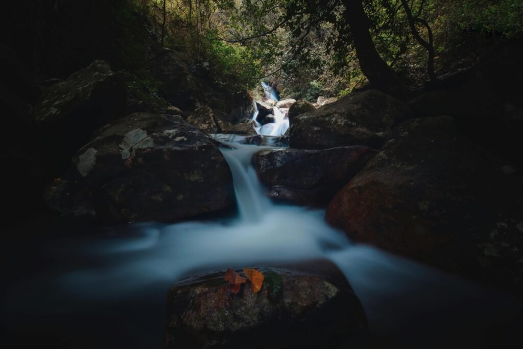 Expériences uniques à vivre absolument cette année les aurores boréales, nature